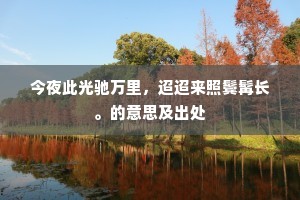 遁庵胸次太湖宽，偃岳旋岚鼓不湍。的解释