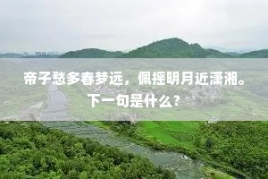彭郎性命贱于土，义士投甲无光辉。的意思及出处