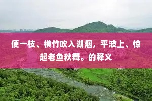 树老半无叶，僧閒谁问禅。的意思及出处