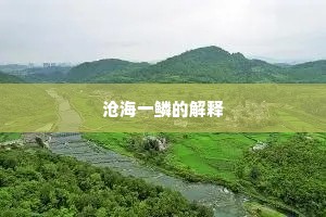 沧海一鳞的解释