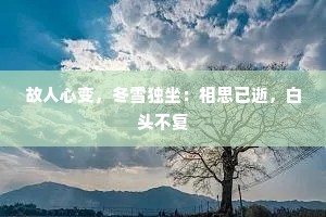 故人心变，冬雪独坐：相思已逝，白头不复