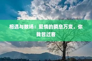 相遇与散场：爱情的瞬息万变，你我皆过客
