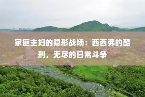 家庭主妇的隐形战场：西西弗的酷刑，无尽的日常斗争