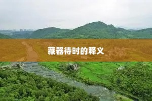 藏器待时的释义