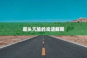 藏头亢脑的成语解释