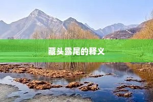 藏头露尾的释义