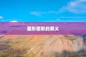藏形匿影的释义
