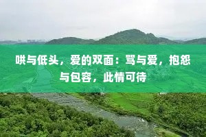哄与低头，爱的双面：骂与爱，抱怨与包容，此情可待