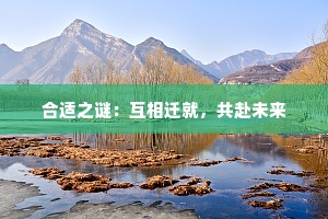 合适之谜：互相迁就，共赴未来
