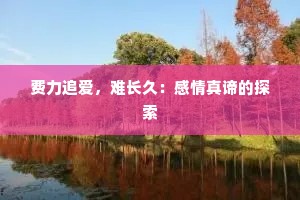 费力追爱，难长久：感情真谛的探索