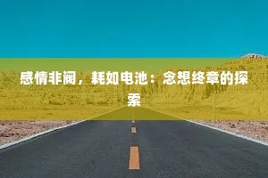 感情非阀，耗如电池：念想终章的探索