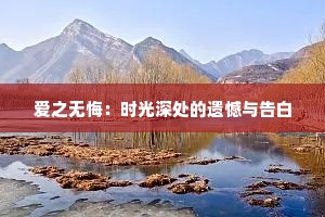 爱之无悔：时光深处的遗憾与告白