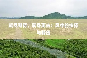 耗尽期待，转身离去：风中的抉择与释然