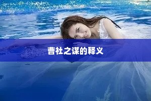 曹社之谋的释义