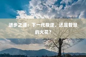 进步之源：下一代叛逆，还是智慧的火花？