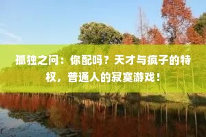 孤独之问：你配吗？天才与疯子的特权，普通人的寂寞游戏！