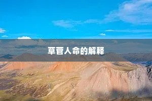 草菅人命的解释