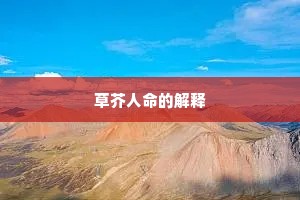 草芥人命的解释