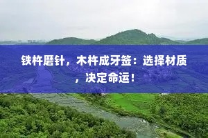 铁杵磨针，木杵成牙签：选择材质，决定命运！