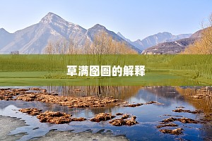 草满囹圄的解释