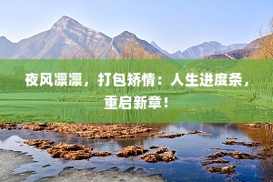 夜风凛凛，打包矫情：人生进度条，重启新章！