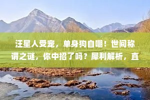 汪星人受宠，单身狗自嘲！世间称谓之谜，你中招了吗？犀利解析，直击心灵！
