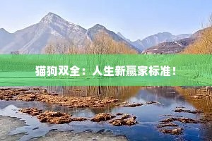 猫狗双全：人生新赢家标准！