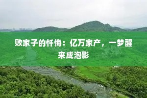 败家子的忏悔：亿万家产，一梦醒来成泡影