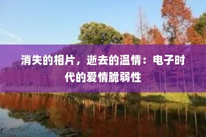消失的相片，逝去的温情：电子时代的爱情脆弱性
