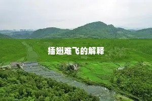 插翅难飞的解释