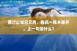 镜花水月，日常与社交舞台的错位哲学