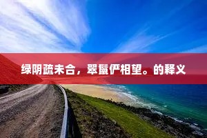 小雨净川绿，玩心鸥鸟群。的释义