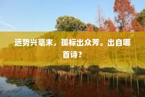 破雾前行，不为模糊未来忧，力耕清晰当下田