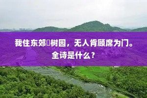 时光荏苒，释怀过往，拥抱新生