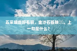 訏谟者谁子，无乃失所宜。的解释
