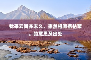 缄封在骨髓，耿耿空自奇。的意思及出处