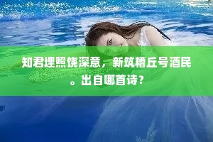 险阻思安土，乐天安可忘。上一句是什么？