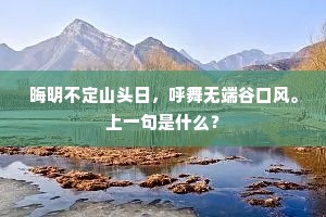 青山飞白鸟，野水渡行人。上一句是什么？