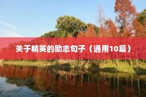 关于精英的励志句子（通用10篇）