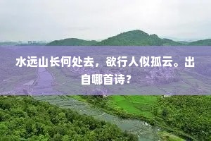 幽人息遥夜，四听市声寂。下一句是什么？