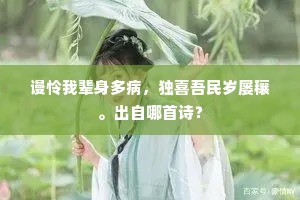 装为两大轴，置我并琼瑰。的解释