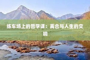 练车场上的哲学课：离合与人生的交响