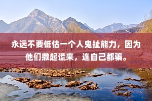 永远不要低估一个人鬼扯能力，因为他们撒起谎来，连自己都骗。