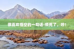 很喜欢悟空的一句话:烦死了，哼!
