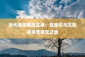 当代青年解压实录：在虚拟与沉默间寻觅喘息之地