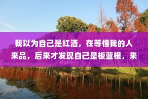 我以为自己是红酒，在等懂我的人来品，后来才发现自己是板蓝根，来找我的都有病。