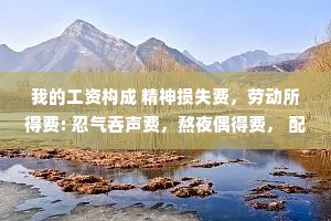 我的工资构成 精神损失费，劳动所得费: 忍气吞声费，熬夜偶得费， 配合表演费，满勤窝囊费。