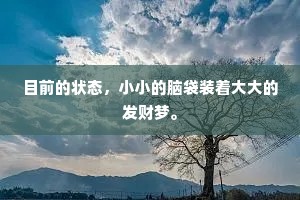 目前的状态，小小的脑袋装着大大的发财梦。