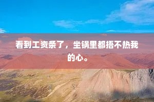 看到工资条了，坐锅里都捂不热我的心。
