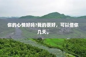 你的心情好吗?我的很好，可以借你几天。